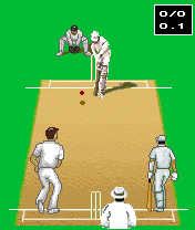 Cricket Screeshot
