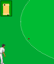 Cricket Java Game