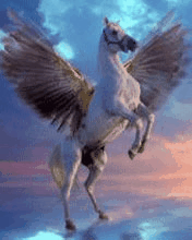 pegasus